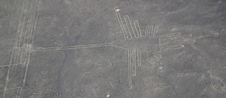 Illustration for article titled Greenpeace puede haber dañado gravemente las líneas históricas de Nazca